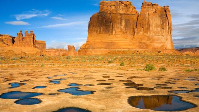 Im Vordergrund wirkt es wie Brandlöcher. Und überall diese geraden Sockel!