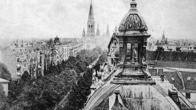 Kudamm: Interessant sind die wuchernden Bäume!